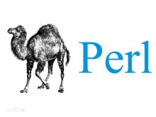 Perl.com官网被劫持，被指向了一个停车网站用于分发恶意软件