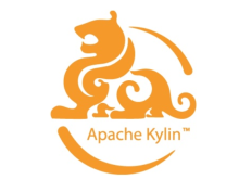 Apache Kylin 存在命令注入漏洞CVE-2022-24697
